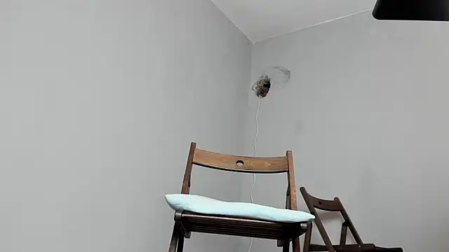 Master Mark Wayne online show from 10.15.25