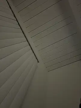 Snapshot of Papinine6 chatting on 11.12.25 Papinine6 online show from 11.12.25