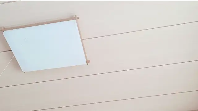 xxArisaxx online show from 03.01.26