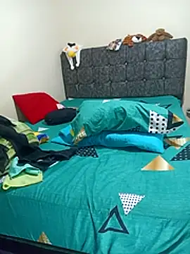 Snapshot of LITLESTAR chatting on 11.27.25 LITLESTAR online show from 11.27.25