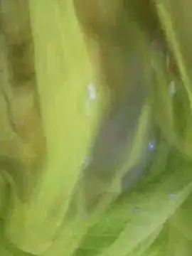 Snapshot of joya_bhabi chatting on 11.03.25 joya bhabi online show from 11.03.25