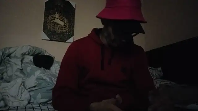 hailzeffn online show from 11.07.25