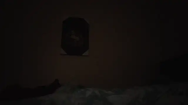 hailzeffn online show from 11.13.25