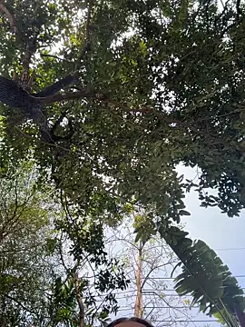 JessiMur online show from 02.11.26