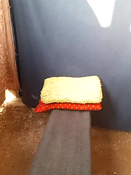 Burhade-- online show from 10.12.25