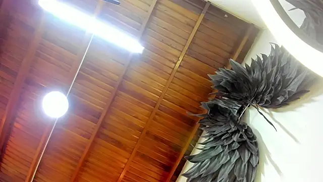 Levy Steve online show from 10.03.25