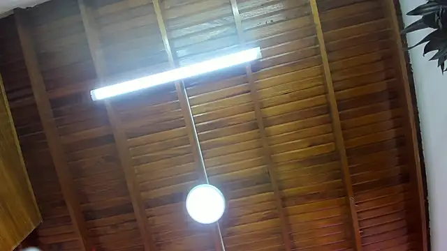 Levy Steve online show from 11.26.25