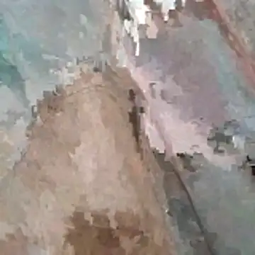 jockey2051992 online show from 03.07.26