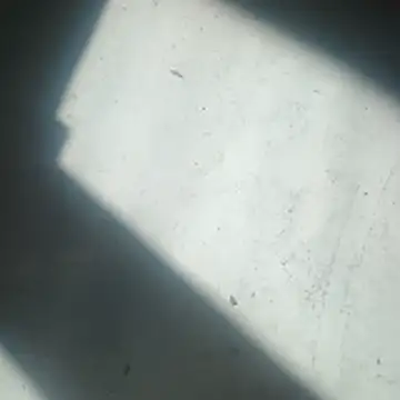 ScrawnyMotor3 online show from 04.22.26