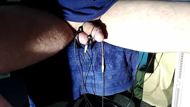 Camaroshelby online show from 11.15.25