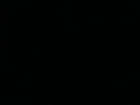Tigerhill2023 online show from 04.25.26