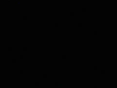 Tigerhill2023 online show from 04.26.26