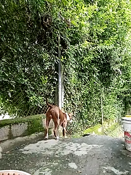 sebasxx97 online show from 03.05.25