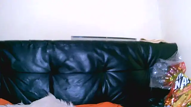 Bustypillows online show from 07.10.26