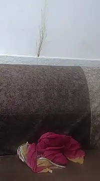 Aaradhya online show from 02.24.25