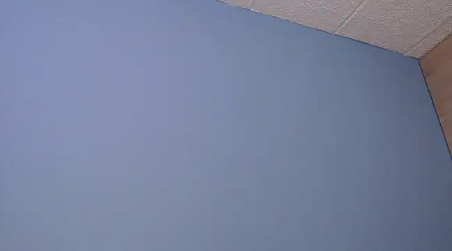 Lilly macflyy online show from 12.18.24