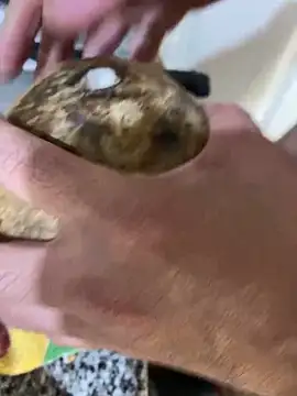 FlorBich online show from 12.08.24