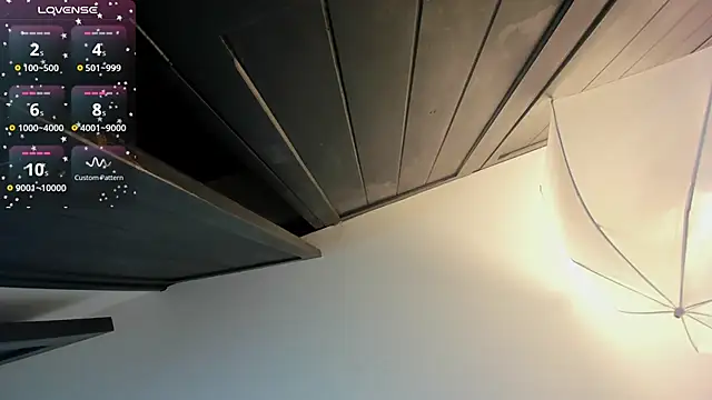 FaloonRoussel online show from 11.30.25