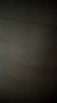 poussychats online show from 02.16.25