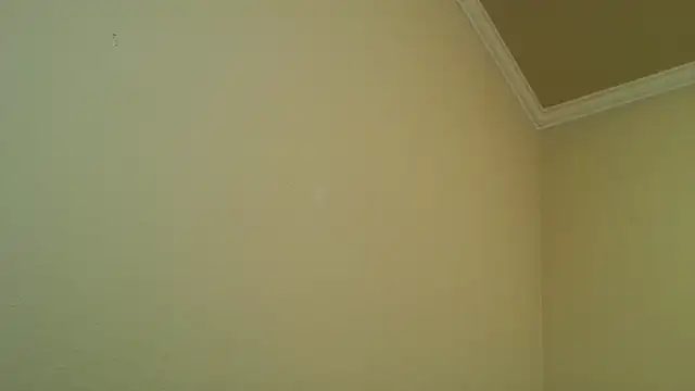 YelpedAverting online show from 12.17.25