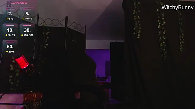 witchybunny online show from 12.31.24