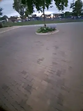 Petrossa online show from 01.06.26