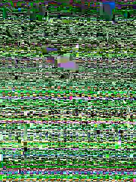 Snapshot of Snehameoww@xh chatting on 11.21.25 Snehameowwxh online show from 11.21.25