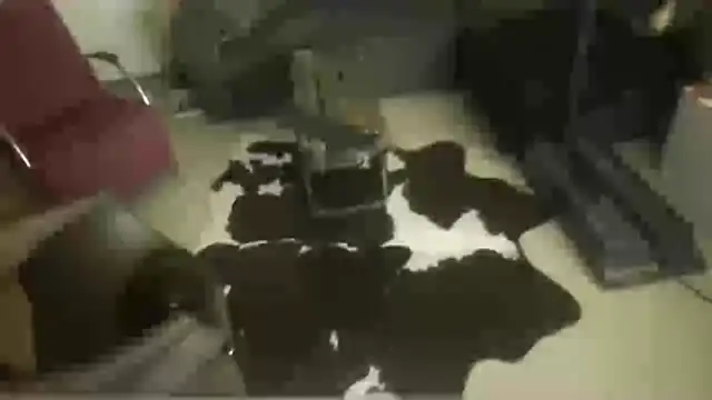 Snapshot of oopsxx chatting on 12.22.25 oopsxx online show from 12.22.25