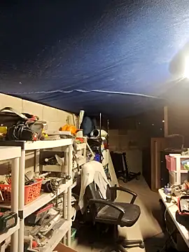 FloppyPickle4u online show from 02.25.25