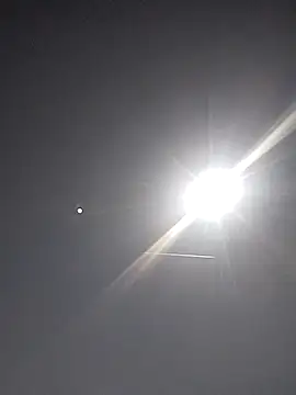 FloppyPickle4u online show from 03.15.25