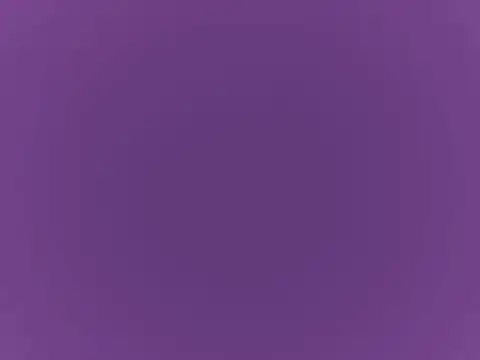 doctor deee online show from 09.08.25