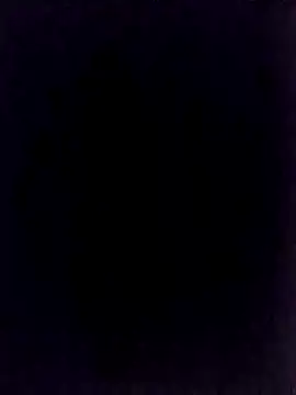 BongChannel online show from 01.01.25