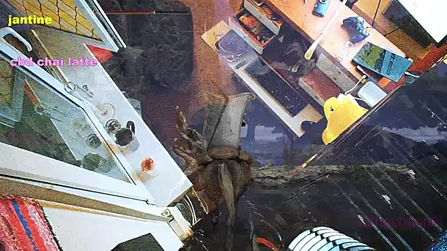 BongChannel online show from 03.09.25