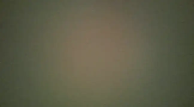 lovense test04 online show from 03.13.25