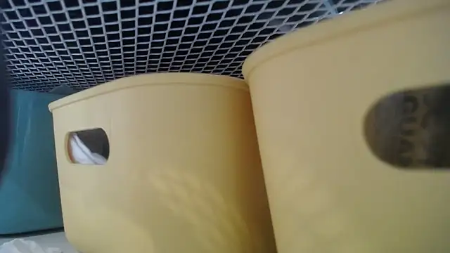 lovense test04 online show from 02.27.26