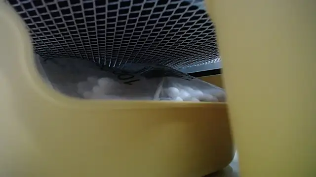 lovense test04 online show from 04.29.26