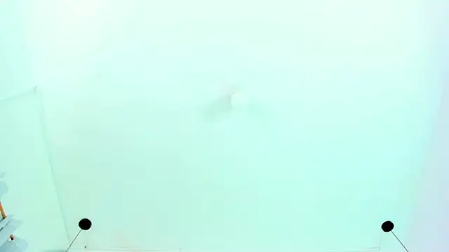 Snapshot of Emily_Gil1 chatting on 01.30.25 Emily Gil1 online show from 01.30.25