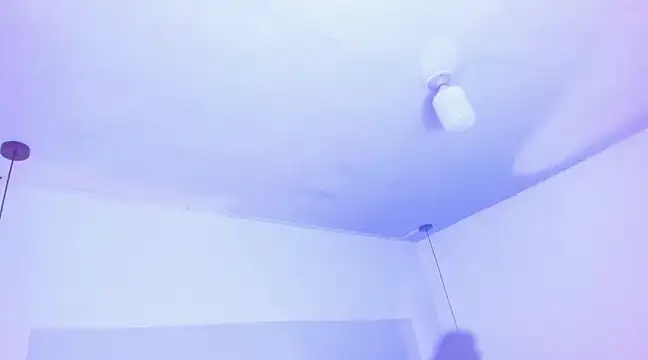 Snapshot of Emily_Gil1 chatting on 03.19.25 Emily Gil1 online show from 03.19.25