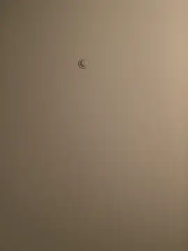 Snapshot of BIGWHITECOCKDOC36 chatting on 03.05.25 BIGWHITECOCKDOC36 online show from 03.05.25