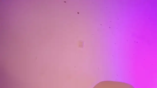 Snapshot of Tahira_21_ chatting on 01.22.25 Tahira 21 online show from 01.22.25