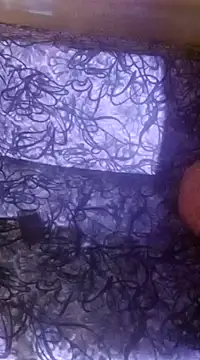 Snapshot of shuhana_ chatting on 12.16.24 shuhana online show from 12.16.24