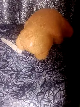 Snapshot of shuhana_ chatting on 01.21.25 shuhana online show from 01.21.25