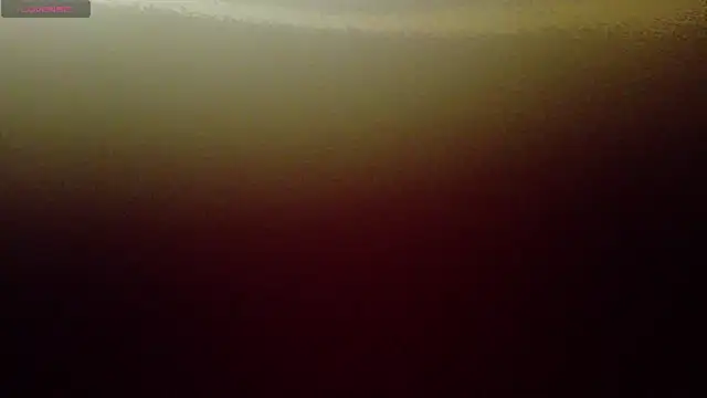 online bestie online show from 02.19.25