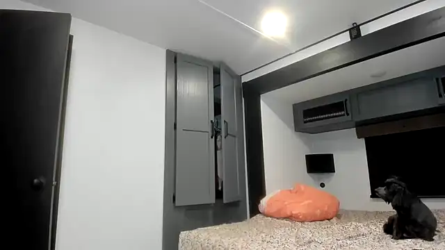 Snapshot of Persiasparadise chatting on 02.16.26 Persiasparadise online show from 02.16.26