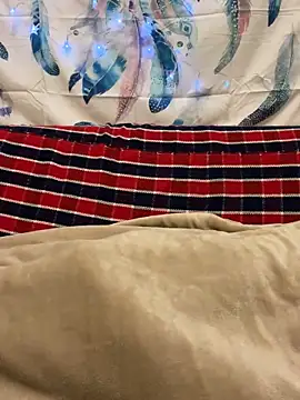 A6229 online show from 01.11.25