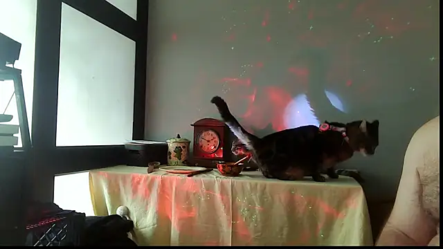 SexWorkerX online show from 12.20.25