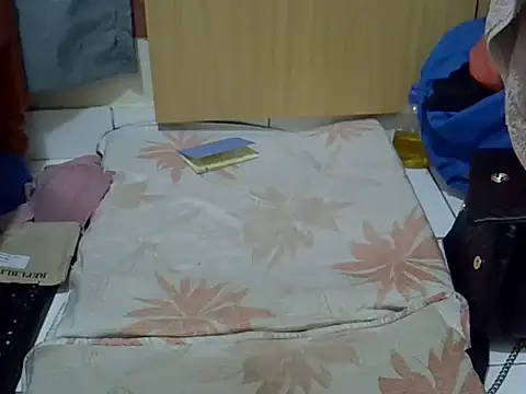 Snapshot of prettyviel chatting on 10.27.25 prettyviel online show from 10.27.25