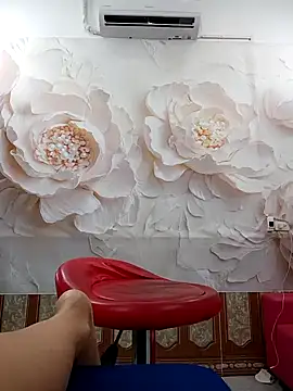 zizi public online show from 02.11.26