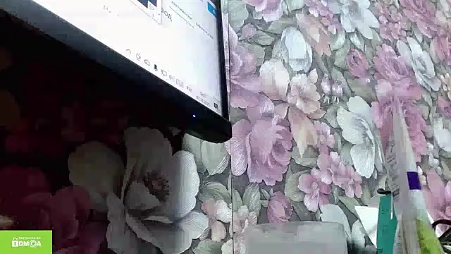 Snapshot of Julia-ru chatting on 11.06.25 Julia-ru online show from 11.06.25