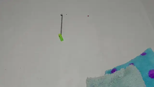 sebas rose online show from 12.11.24